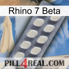 Rhino 7 Beta 08